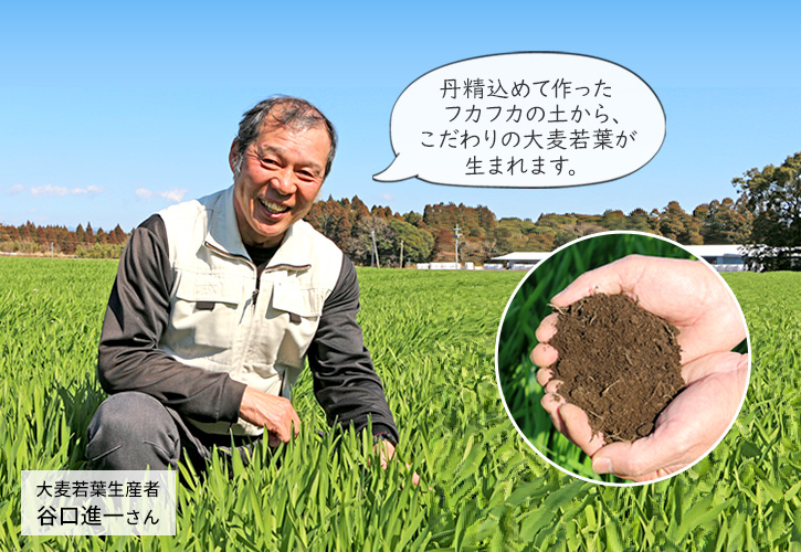 大麦若葉生産者・衛藤雄司さん「ぜひみなさんに飲んでほしいです。」
