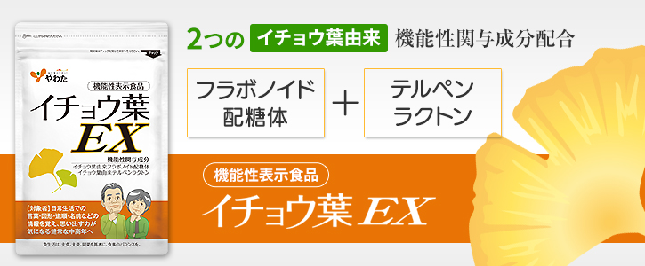 機能性表示食品「イチョウ葉EX」記憶力を維持する2つの注目成分