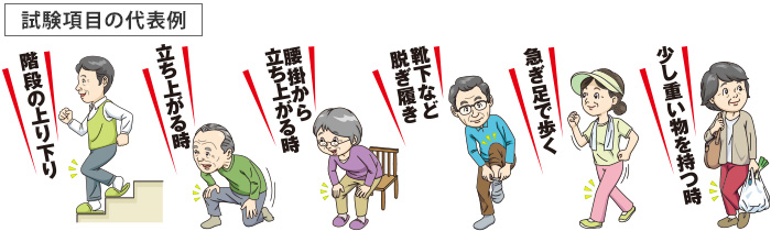 試験項目の代表例