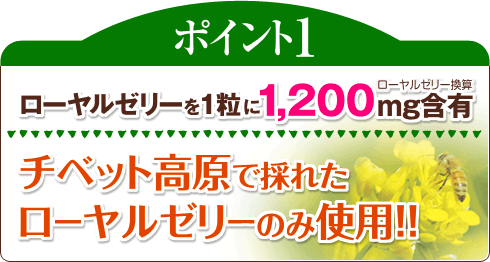 ポイント1 ローヤルゼリーを1粒中に1,200mg含有(ローヤルゼリー換算) チベット高原で採れたローヤルゼリーのみ使用!!