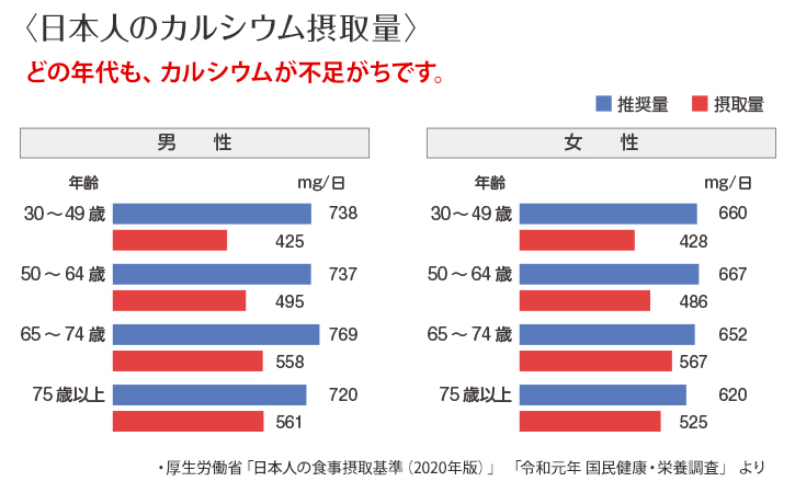 日本人の食事摂取基準グラフ