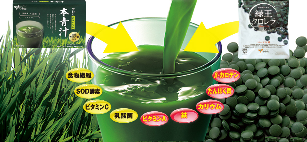 食物繊維、SOD酵素、ビタミンC、乳酸菌、ビタミンA、鉄、カリウム、たんぱく質、β-カロテン