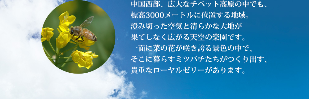 中国の広大なチベット高原