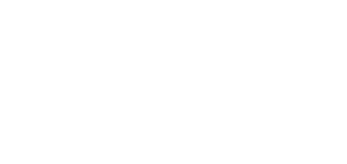 1995年