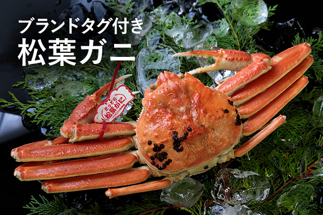 ブランドタグ付き松葉ガニ