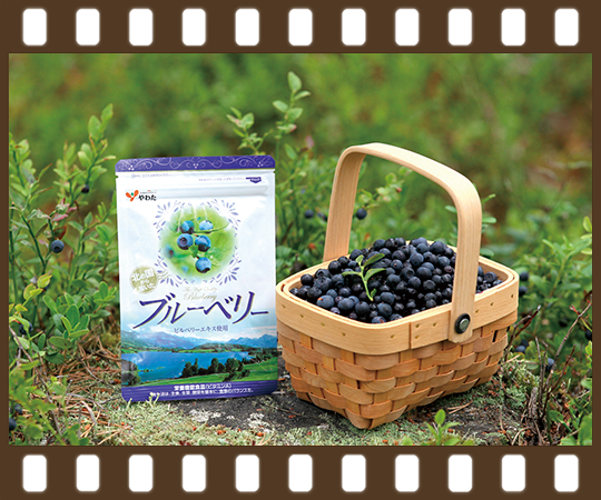 北の国から届いたブルーベリー