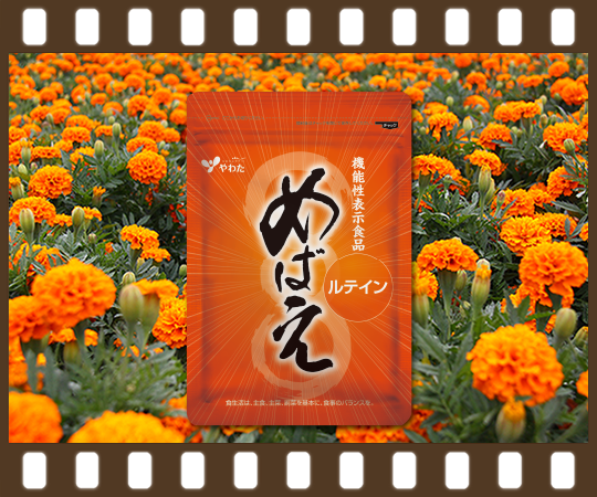 機能性表示食品めばえ