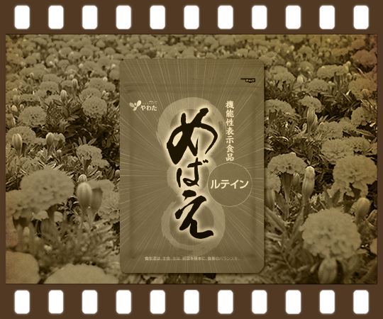 機能性表示食品めばえ