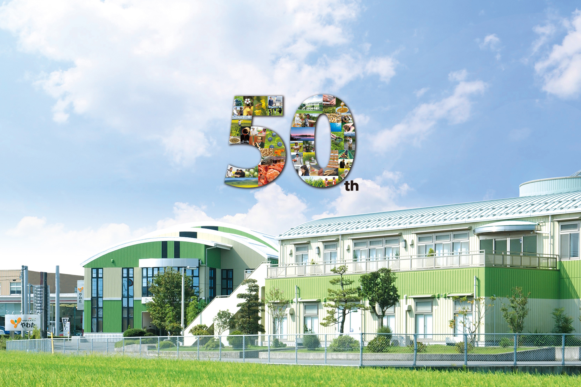 やわた創業50周年