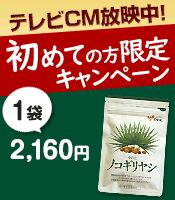 11月のキャンペーン