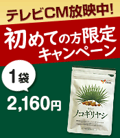 3月のキャンペーン