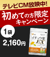 6月のキャンペーン