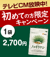 11月のキャンペーン