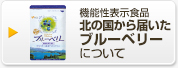 機能性表示食品 北の国から届いたブルーベリーについて