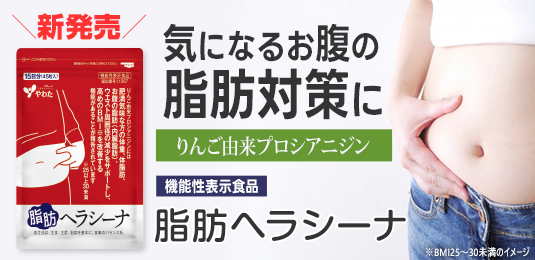 【新発売】脂肪ヘラシーナ