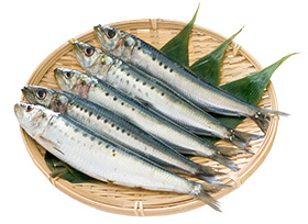 イワシ