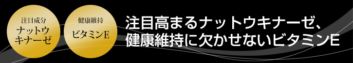 注目高まるナットウキナーゼ、健康維持に欠かせないビタミンE