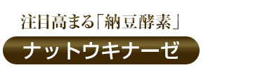 注目高まる納豆酵素「ナットウキナーゼ」