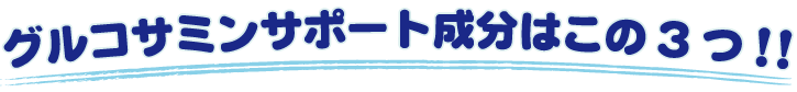 グルコサミンサポート成分はこの3つ!!