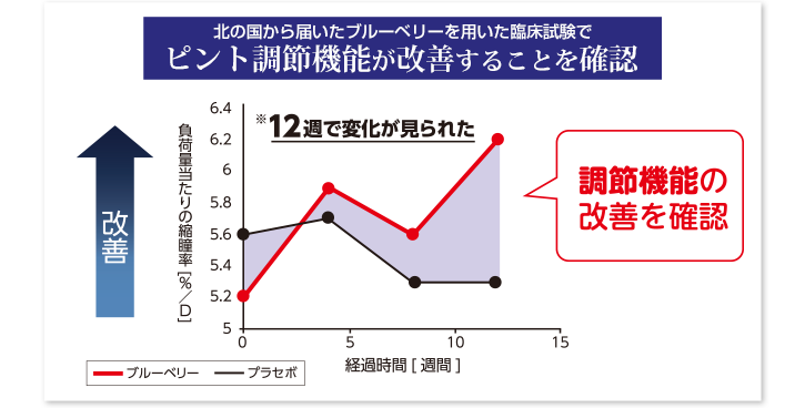 ピント調節機能が改善することを確認