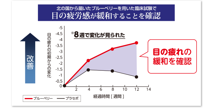 目の疲労感が緩和することを確認