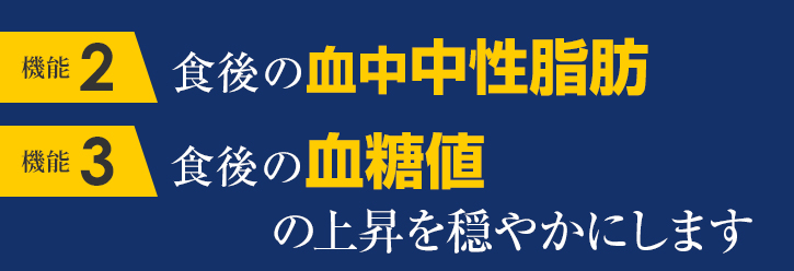 「機能性2」食後の血中中性脂肪「機能性3」食後の血糖値の上昇を穏やかにします