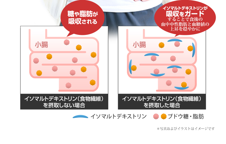 機能性関与成分「イソマルトデキストリン(食物繊維)」2.13mg(1袋 3.2mg当たり)