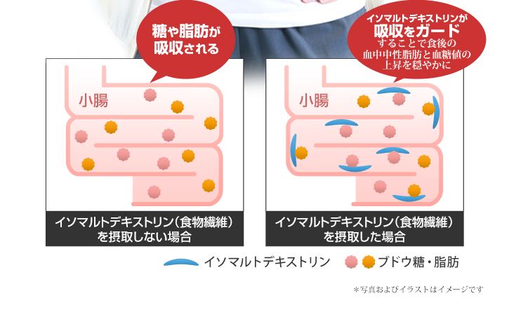 機能性関与成分「イソマルトデキストリン（食物繊維）」2.13mg（1袋 3.2mg当たり）