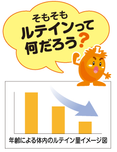 機能性表示食品 メラックスｅｙｅ | やわた【八幡物産】