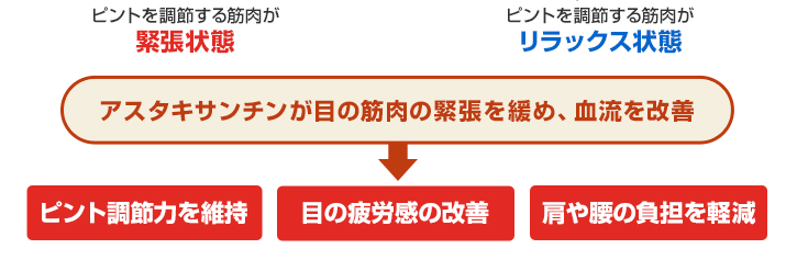 ピント調節力を維持、目の疲労感の改善、肩や腰の負担を軽減