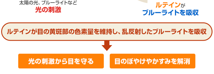 光の刺激から保護、目のぼやけやかすみを解消