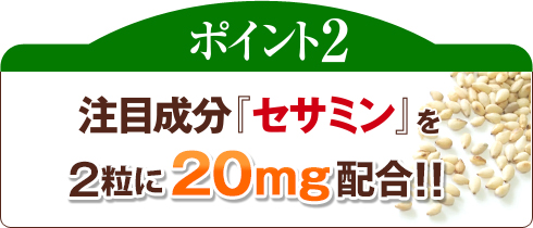 ポイント2 注目成分『セサミン』を2粒に20mg配合!!