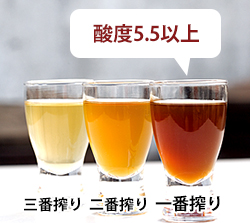 アミノ酸と有機酸が断然多い濃度の高い、「一番搾り」のだけを使用。