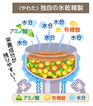 やわた独自の「氷乾精製」により、凍結し水分をとばします。その結果重要な栄養素の有機酸・アミノ酸がたっぷり含まれたカプセルが出来ます。