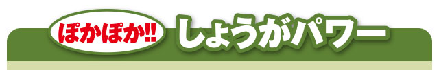 ぽかぽか しょうがパウダー