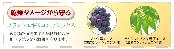 乾燥ダメージから守る　6種類の植物エキスが、乾燥による肌トラブルからお肌を守ります。