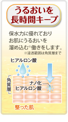 うるおいを長時間キープ　保水力に優れており、お肌にうるおいを溜め込む（※）働きをします。　※浸透範囲は角質層まで