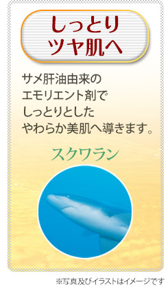 しっとりツヤ肌へ　スクワラン　サメ肝油由来のエモリエント剤で、しっとりとしたやわらか肌へ導きます。