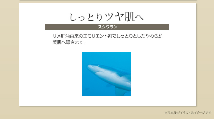 しっとりツヤ肌へ　サメ肝油由来のエモリエント剤でしっとりとしたやわらか美肌へ導きます。