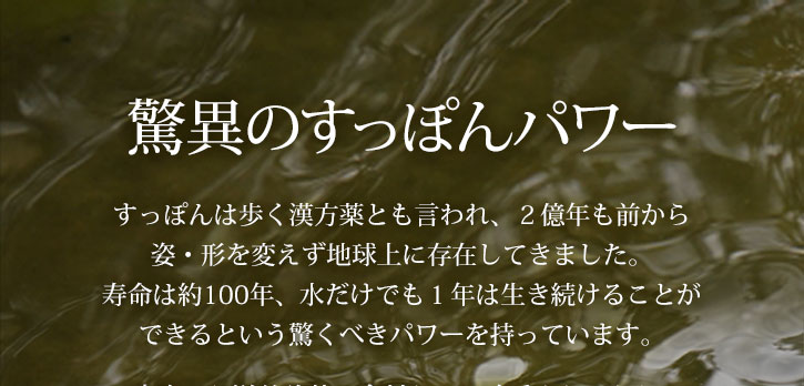 納豆