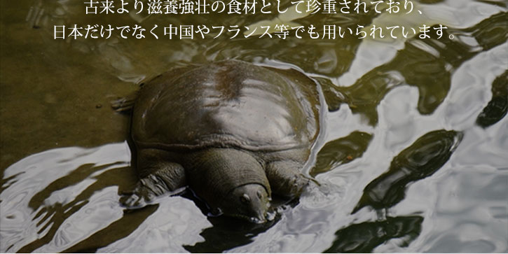 納豆
