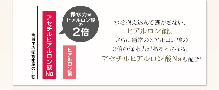 水を抱え込んで逃がさない、ヒアルロン酸。さらにアセチルヒアルロン酸Naも配合！