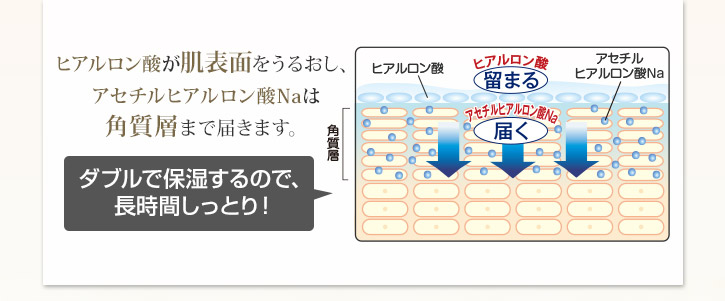 ヒアルロン酸が肌表面を潤し、アセチルヒアルロン酸Naは角質層まで届き潤します。ダブルで保湿するので、長時間しっとり！