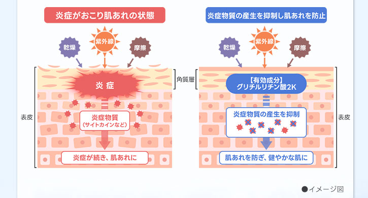 グリチルリチン酸2Kのメカニズムイメージ図