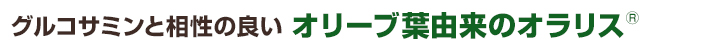 グルコサミンと相性の良い　オリーブ葉由来のオラリス®