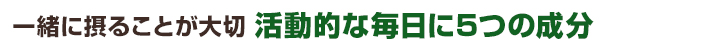 一緒にとることが大切。活動的な毎日に５つの成分