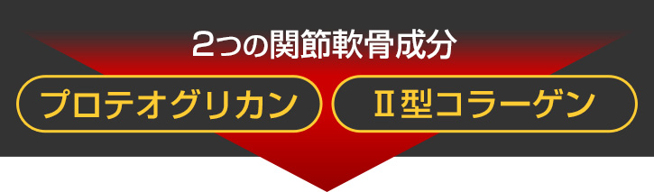 2つの関節軟骨成分