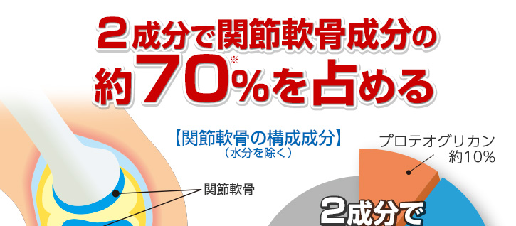 2成分で関節軟骨の成分の約70%を占める