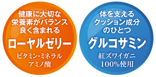 美容に大切な栄養素　ビタミン、活動的な毎日をサポート　アミノ酸、身体をすこやかに整えるミネラル