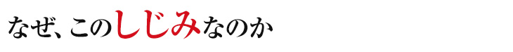 なぜ、このしじみなのか